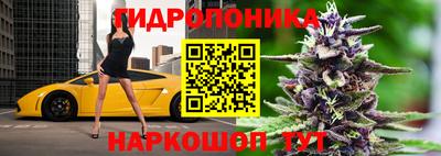 СК Краснодар