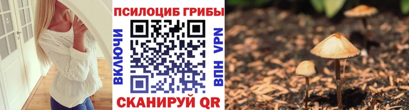 ОМГ ОМГ ONION Краснодар Галлюциногенные грибы Cubensis